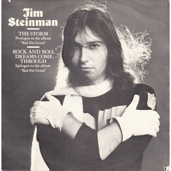 Jim Steinman The Storm / Rock And Roll Dreams Come Through Vinyl 7" USED