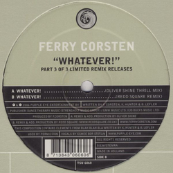Ferry Corsten Whatever! Vinyl 12" USED