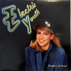 Debbie Gibson Electric Youth Vinyl LP USED