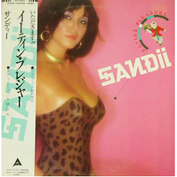 Sandii Eating Pleasure = イーティン・プレジャー Vinyl LP USED