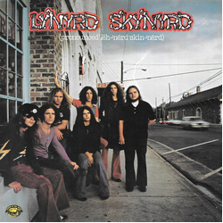 Lynyrd Skynyrd (Pronounced 'Lĕh-'nérd 'Skin-'nérd) Vinyl LP USED