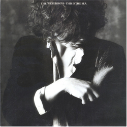 The Waterboys This Is The Sea Vinyl LP USED