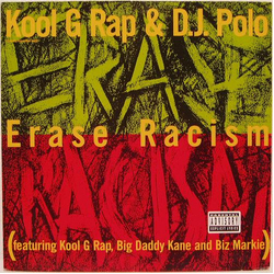 Kool G Rap & D.J. Polo Erase Racism Vinyl 12" USED