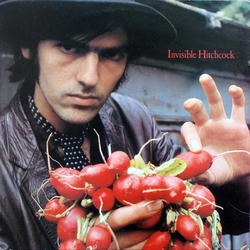 Robyn Hitchcock Invisible Hitchcock Vinyl LP USED