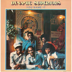 Dynamic Superiors You Name It Vinyl LP USED