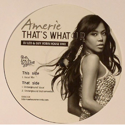 Amerie That's What U R (DJ Leo & Guy Robin House RMX) Vinyl 12" USED