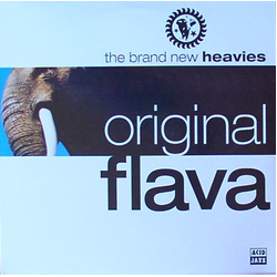 The Brand New Heavies Original Flava Vinyl LP USED