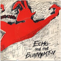 Echo & The Bunnymen The Pictures On My Wall Vinyl 7" USED