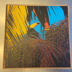 Joao Comazzi Tucanaçai Vinyl 12" USED