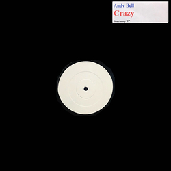 Andy Bell Crazy Vinyl 12" USED