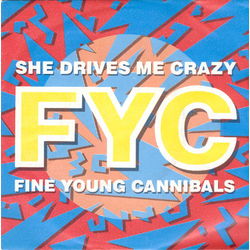Fine Young Cannibals She Drives Me Crazy Vinyl 7" USED