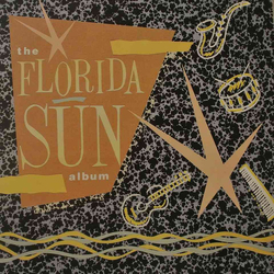 Florida Sun The Florida Sun Album Vinyl LP USED