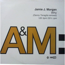 Jamie J. Morgan Why (Danny Tenaglia Remixes) Vinyl 12" USED