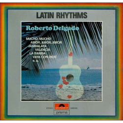 Roberto Delgado Latin Rhythms Vinyl LP USED