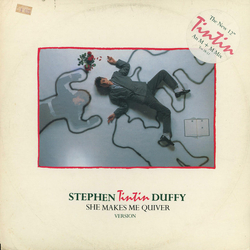 Stephen Duffy She Makes Me Quiver (Version) Vinyl 12" USED
