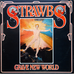 Strawbs Grave New World Vinyl LP USED