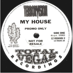 Terrorvision My House Vinyl 12" USED