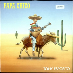 Tony Esposito Papa Chico Vinyl 12" USED
