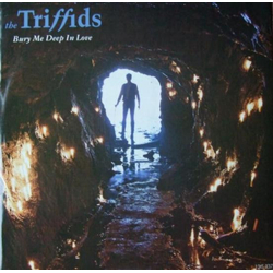 The Triffids Bury Me Deep In Love Vinyl 12" USED