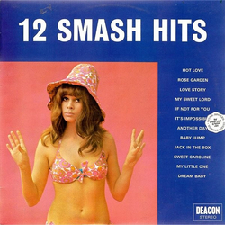 Unknown Artist 12 Smash Hits Vinyl LP USED