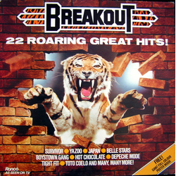 Various Breakout (22 Roaring Great Hits!) Vinyl LP USED