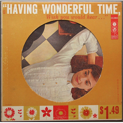 Various Having Wonderful Time, Wish You Would Hear... Vinyl LP USED