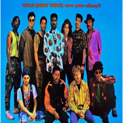 Was (Not Was) Are You Okay? Vinyl LP USED