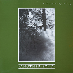 Not Drowning, Waving Another Pond Vinyl LP USED