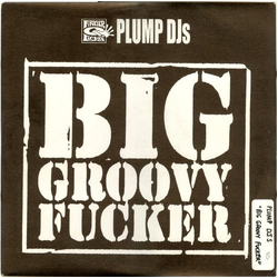 Plump DJs Big Groovy Fucker / T.B.Reality Vinyl 12" USED