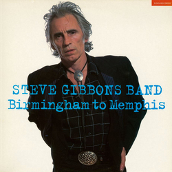Steve Gibbons Band Birmingham To Memphis Vinyl LP USED