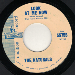 The Naturals (10) Look At Me Now Vinyl 7" USED