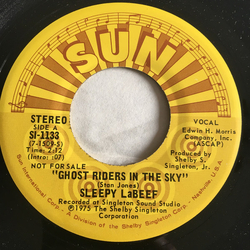 Sleepy La Beef Ghost Riders In The Sky Vinyl 7" USED