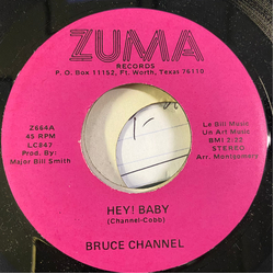 Bruce Channel Hey! Baby / Times Vinyl 7" USED