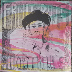Fruit Bats Mouthfuls Vinyl LP USED