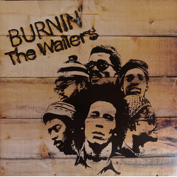 The Wailers Burnin' Vinyl LP USED