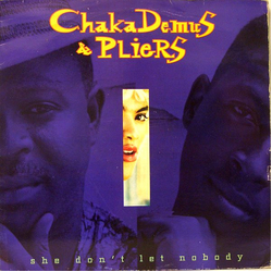 Chaka Demus & Pliers She Don't Let Nobody Vinyl 12" USED