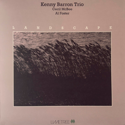 Kenny Barron Trio Landscape Vinyl LP USED