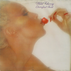 Wild Cherry Electrified Funk Vinyl LP USED