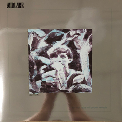 Midlake For The Sake Of Bethel Woods Vinyl LP USED