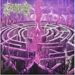 Civerous Maze Envy Vinyl LP USED