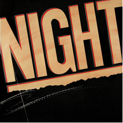 Night Night Vinyl LP USED