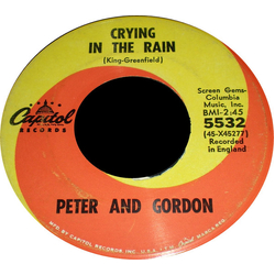 Peter & Gordon Don't Pity Me / Crying In The Rain Vinyl 7" USED