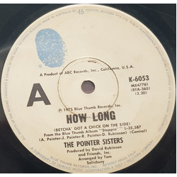 Pointer Sisters How Long (Betcha' Got A Chick On The Side) Vinyl 7" USED