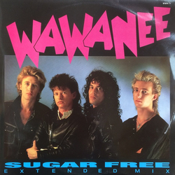 Wa Wa Nee Sugar Free Vinyl 12" USED
