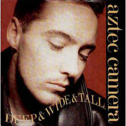 Aztec Camera Deep & Wide & Tall Vinyl 12" USED