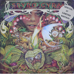 Spyro Gyra Morning Dance Vinyl 12" USED