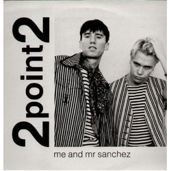 2point2 Me And Mr Sanchez Vinyl 12" USED