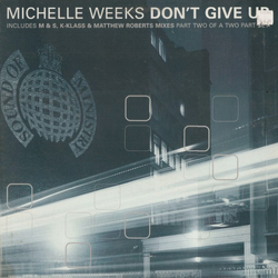 Michelle Weeks Don't Give Up Vinyl 12" USED