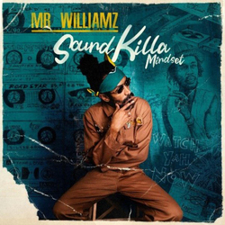 Mr Williamz Sound Killa Mindset Vinyl LP USED