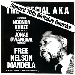 The Special AKA / Ndonda Khuze / Jonas Gwangwa Free Nelson Mandela (The Whole World Is Watching Dance Mix) Vinyl 12" USED